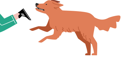 動物に咬まれるイメージ画像