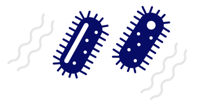 ウイルスが神経内を移動するイメージ画像