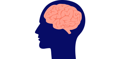 脳炎が発症するイメージ画像