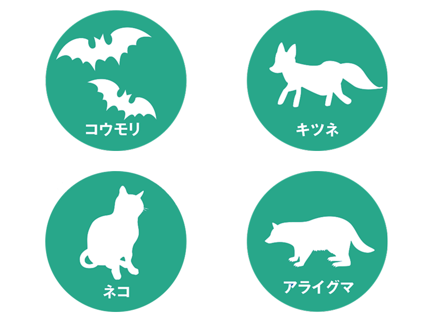 狂犬病の感染源となる動物のイメージ画像