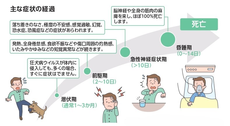 主な症状の経過